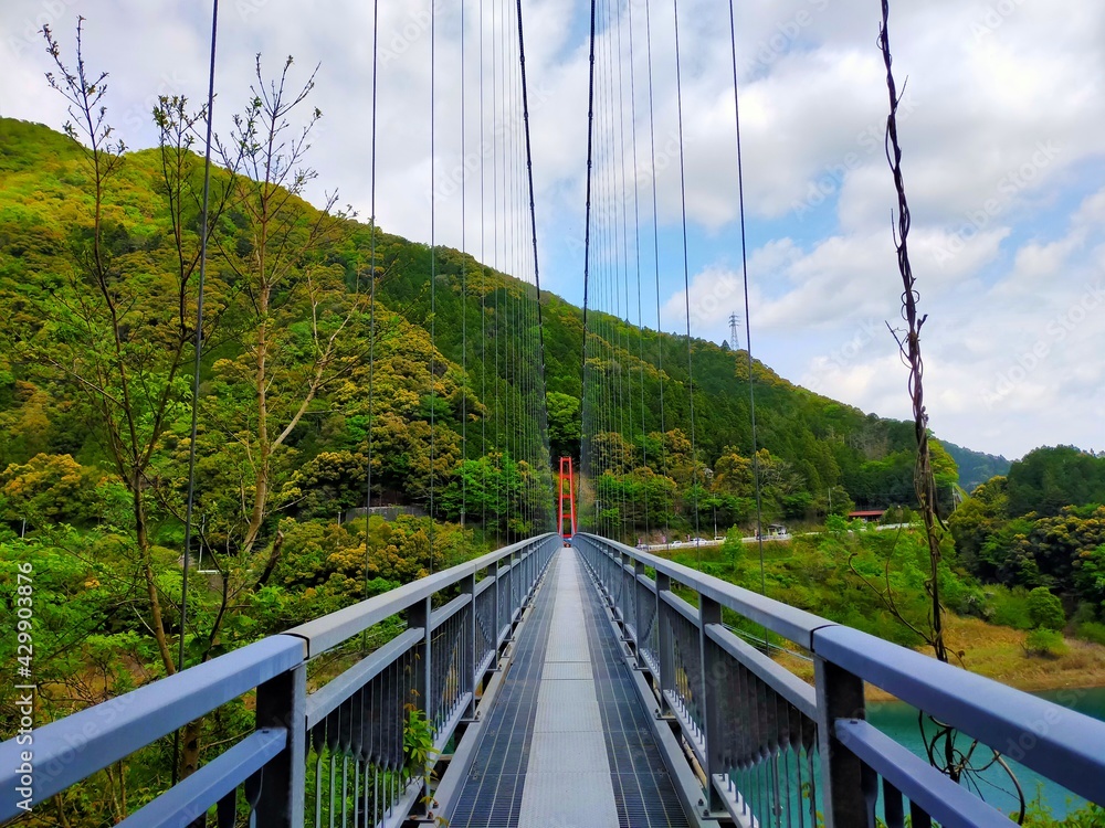 Obraz premium 日本の吊り橋、和歌山県有田川町の椿山ダムの緑の山と青空の自然風景(コピースペースあり)
