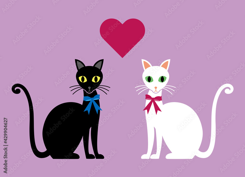 There's a heart between a black cat and a white cat There's a heart between a black cat and a white cat