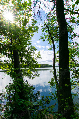 landscape and lake (Schermützelsee, Buckow, Brandenburg, Germany)
