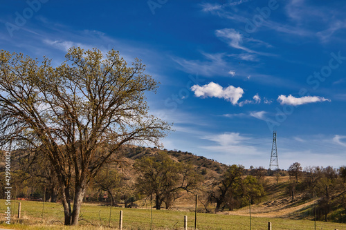 Exploring Highway 58 in central California in the spring