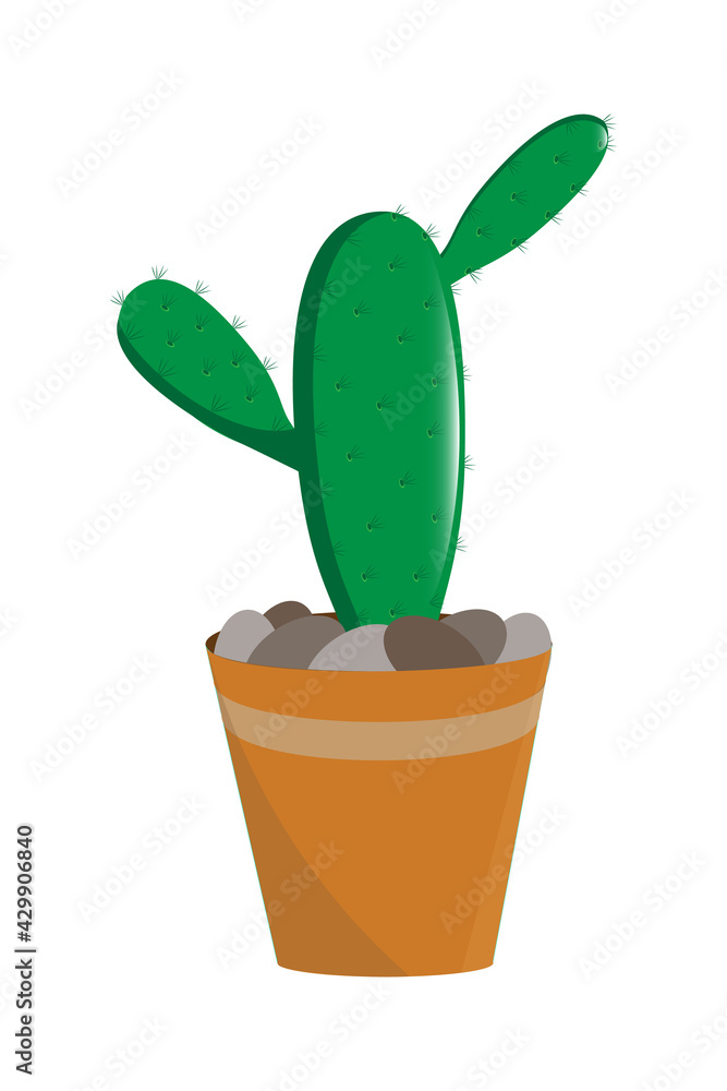 beautiful cactus in a pot, flower isolated on white background beautiful cactus in a pot, flower isolated on white background