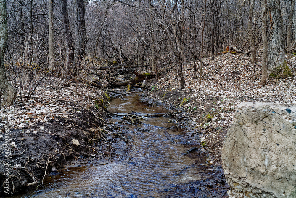 stream in the woods stream in the woods