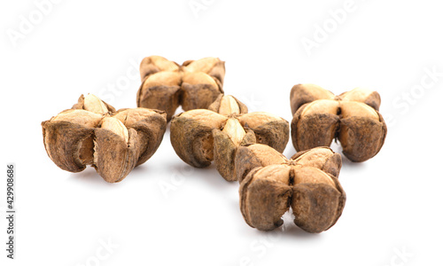 Nuts Incas , sacha inchi peanut seed an isolated on white background