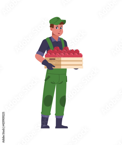 Agricultural worker. Farmer with harvest box. Man holding wooden container full of red apples. Gardener grows organic plants. Isolated male picking fruits in garden. Vector harvesting