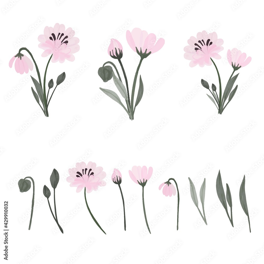 Naklejka premium Set of floral branch, soft pink flower, green leaves. soft pink simple bouquet