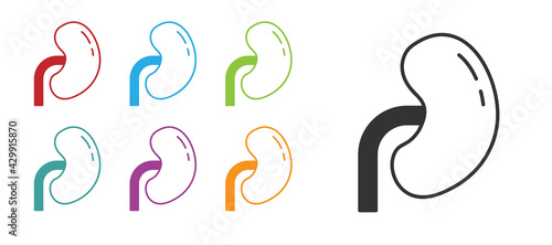 Black Human kidney icon isolated on white background. Set icons colorful. Vector