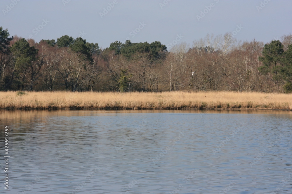 La Saline de Larmor-Baden, Parc Régional du Golfe du Morbihan (Bretagne, France) La Saline de Larmor-Baden, Parc Régional du Golfe du Morbihan (Bretagne, France)
