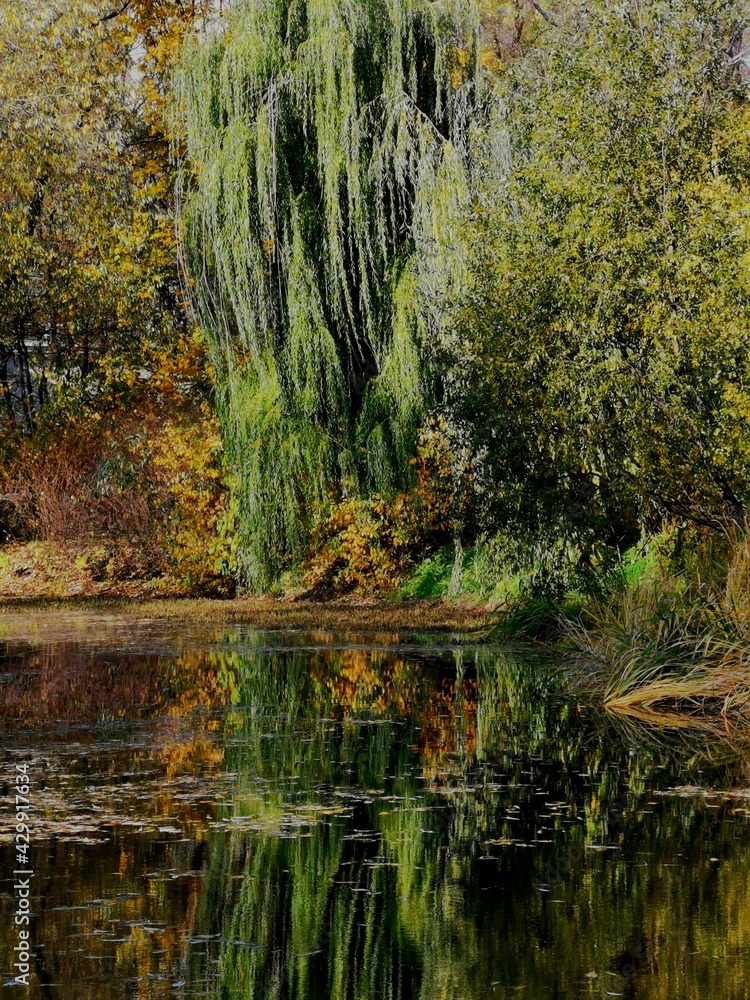 autumn in the park autumn in the park