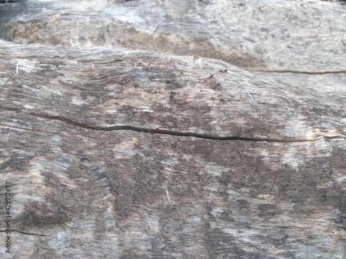 Wood texture