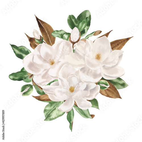 Watercolor floral illustration -    bouquet of white magnolia. Perfect for creating cards  invitations  wedding design.
