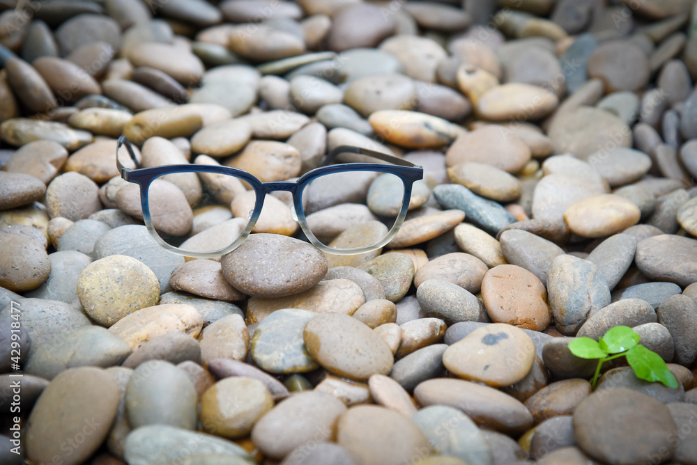 Clear eyeglasses, Glasses transparent dark blue frame Vintage style on pebbles with small plant