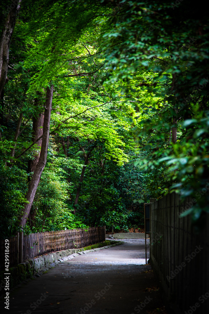 Obraz premium 鶴岡八幡宮の祖霊社付近の小道(鎌倉市雪ノ下)