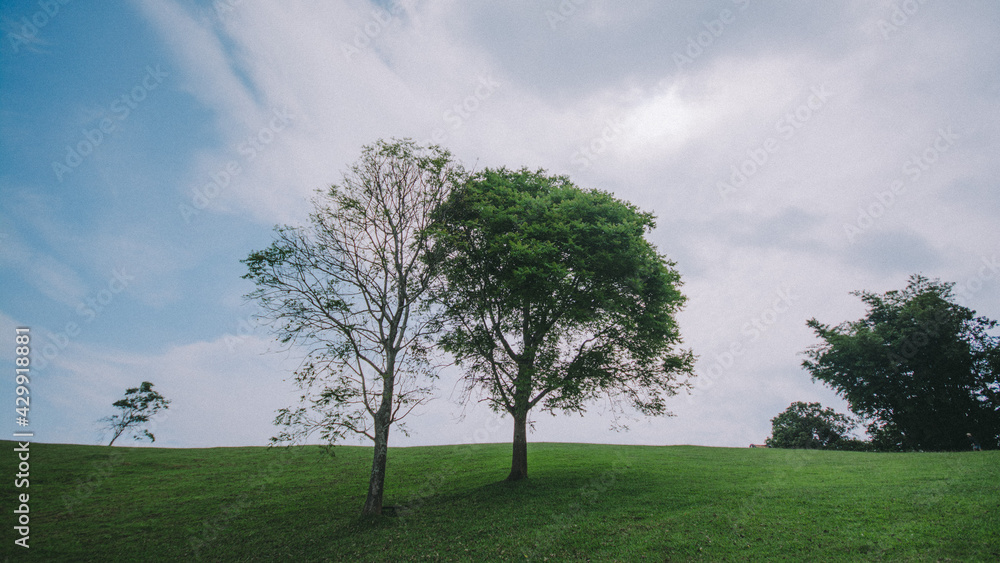 Obraz premium Travel on a high peak.