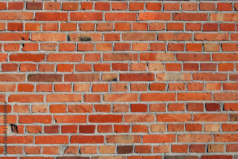 Fototapeta premium Mur z czerwonej cegły