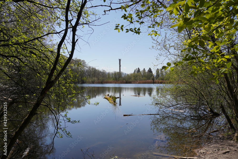 Fototapeta premium Am Tonwerkweiher in Kolbermoor