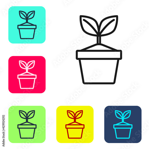 Black line Plant in pot icon isolated on white background. Plant growing in a pot. Potted plant sign. Set icons in color square buttons. Vector