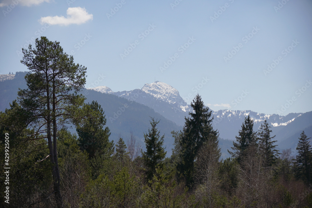 Moorlandschaft Eulenau