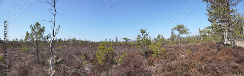 Moorlandschaft Eulenau