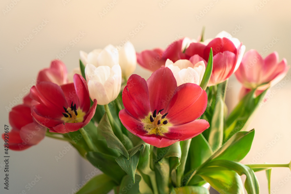 Fototapeta premium wiosenne tulipany w wazonie