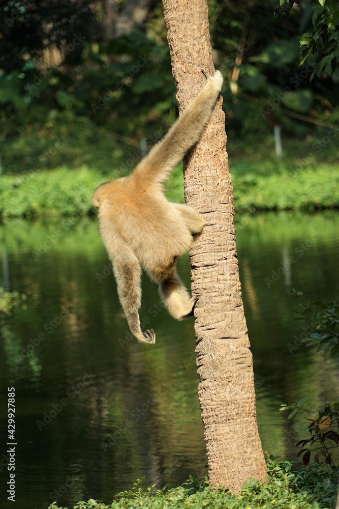 Obraz premium Keeping an watch