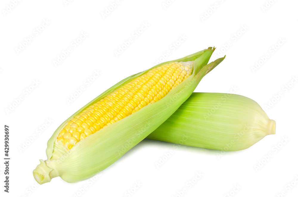 corns isolated on white background. corns isolated on white background.