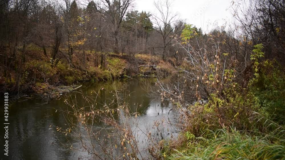 beautiful autumn landscape of the forest river beautiful autumn landscape of the forest river