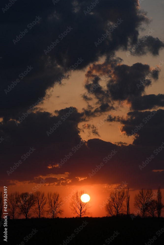Dramatic and colorful landscape with tree silhouette and sunset sun behind with dark clouds. Perfect spring sunset with bright red light. Countryside nature with trees
