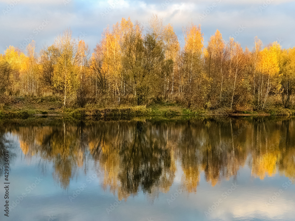 Autumnal yellow leaves trees mirror reflecting in the lake water Autumnal yellow leaves trees mirror reflecting in the lake water