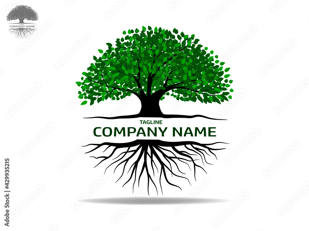 Obraz premium set of trees