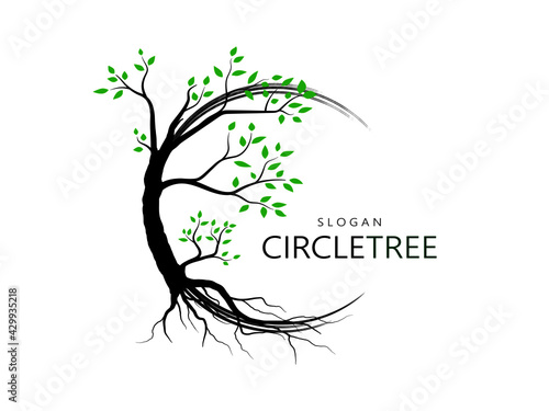 tree with roots