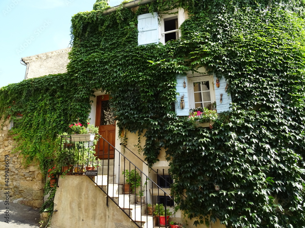 house in the village with old stone wall covered with green ivy