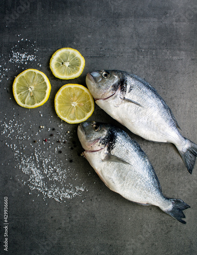 Sea bream dorado fish with lemon and salt on gray textured background with copy space. Uncooked fish top view photo. Balanced diet concept. 