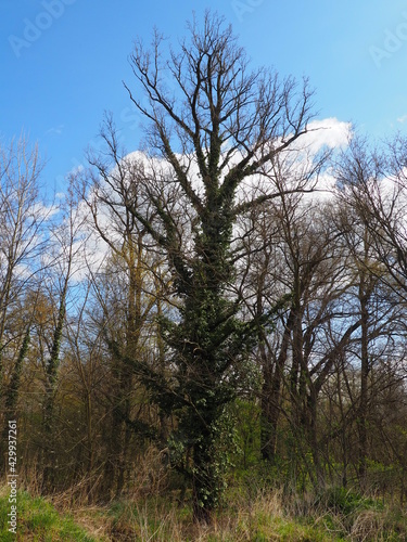 Fototapeta Naklejka Na Ścianę i Meble -  OLYMPUS DIGITAL CAMERA