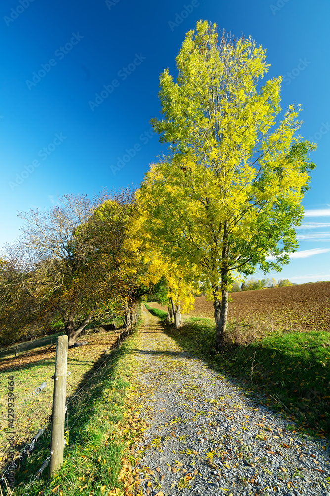 Naklejka premium Ilsfeld