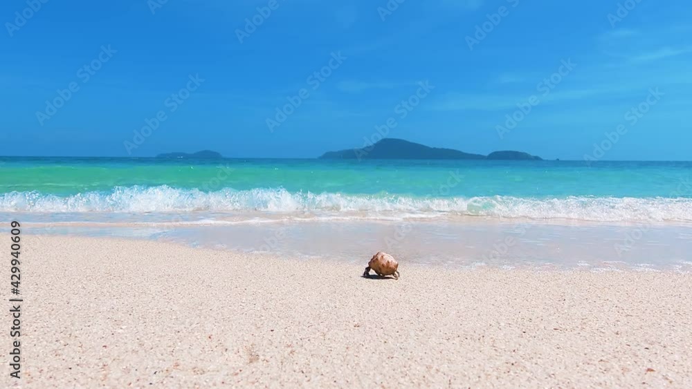 Beautiful tropical beach with blue sky and white cloud background.The hermit crab walks into the sea. Beautiful tropical beach with blue sky and white cloud background.The hermit crab walks into the sea.