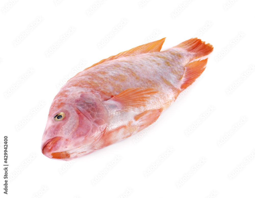 Fresh raw red tilapia fishes isolated on white background Fresh raw red tilapia fishes isolated on white background