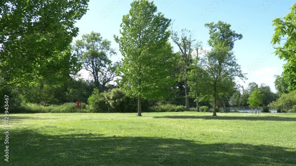 Amazing natural parkland background in 4k slow motion 60fps Amazing natural parkland background in 4k slow motion 60fps