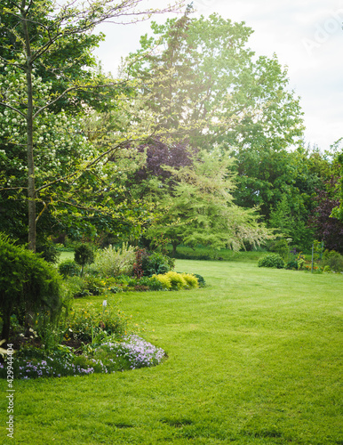 Slika na platnu green ornamental garden in summer, trees of different colors, plants and flower