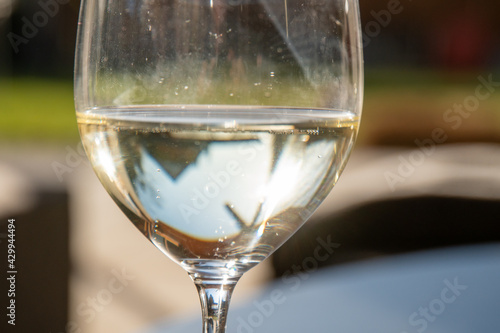 Prosecco in einem Glas in sommerlicher Stimmung