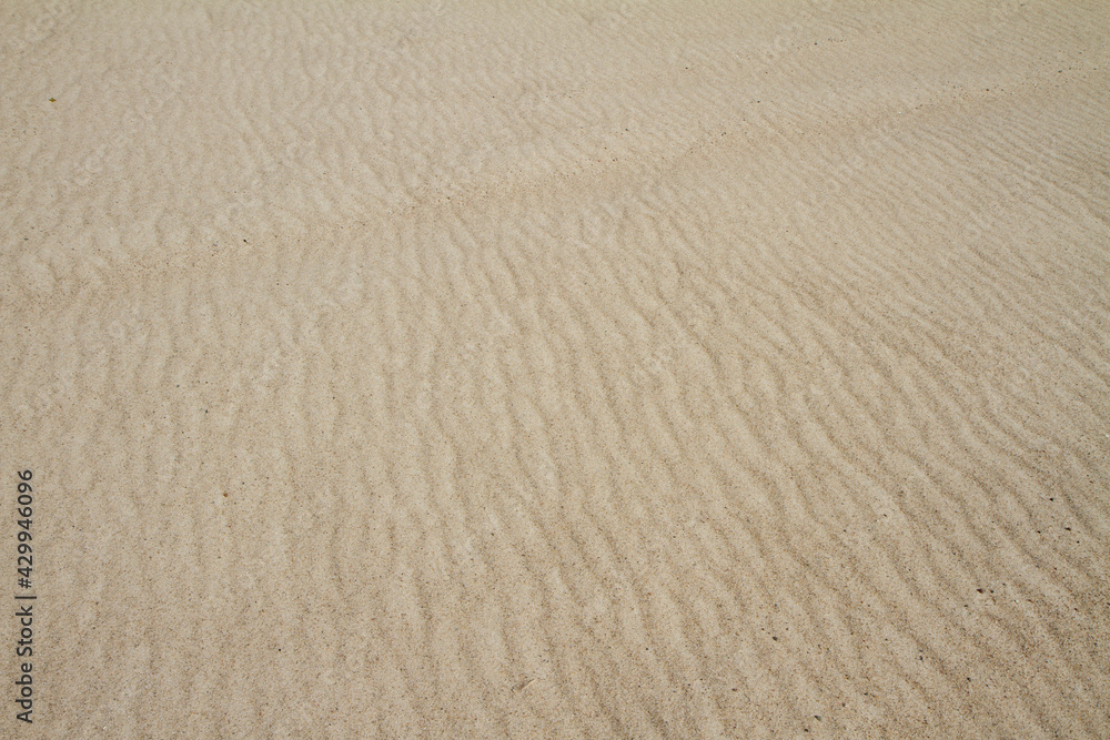 Dunes created on river bank. Sand texture.
Dunes created on river bank. Sand texture.