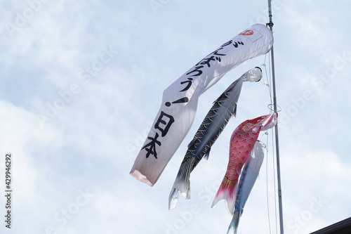 iida, Nagano, Japan, 25-04-2021 , Carp Coi flags, waving in the wind together with a 