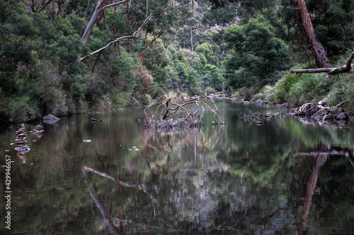 Lerderderg  park in Victoria Australia
The Lerderderg River has carved a deep and picturesque gorge through this rugged park located within easy reach of Melbourne, Bacchus Marsh and Ballarat. photo