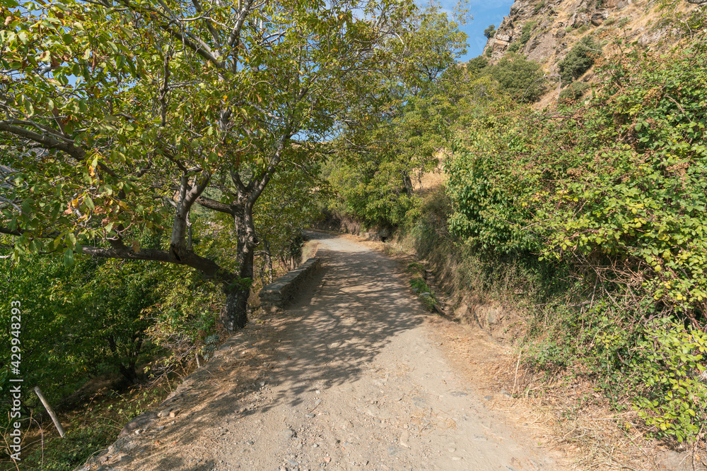 dirt road in the Sierra Nevada mountain dirt road in the Sierra Nevada mountain