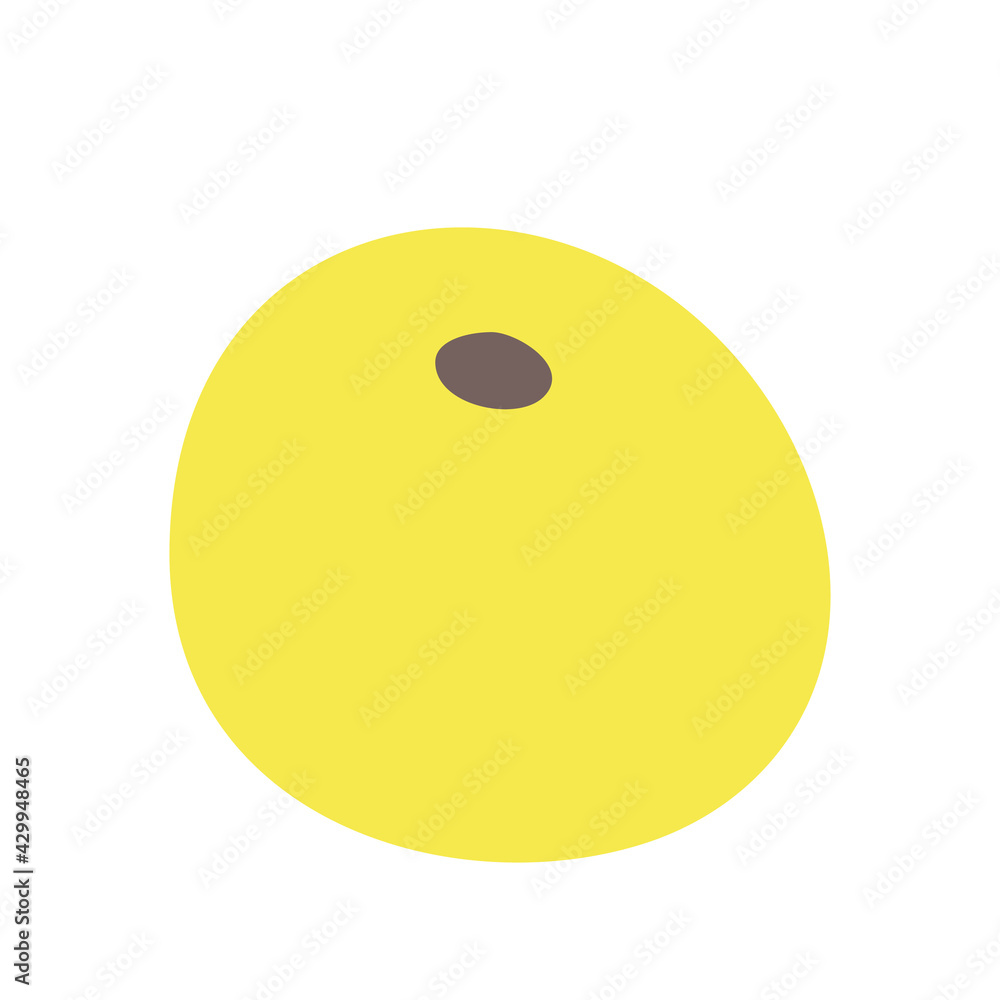 Fototapeta premium Simple boho fruit orange. Isolated on white background. Flat style vector illustration.