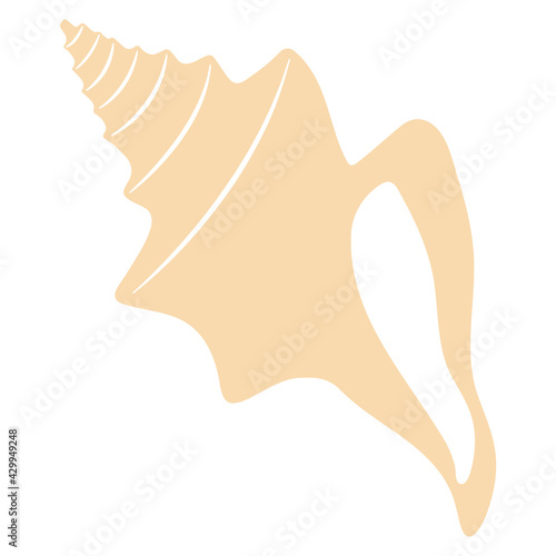 Boho sea shell. Isolated on white background. Flat style vector illustration.