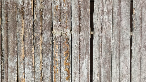 Wood tables texture. Wooden wall