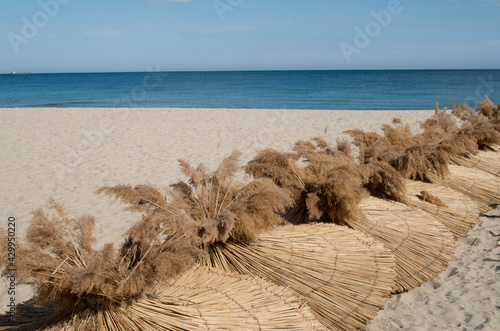 Many reed umbrellas on the pile on the beach in spring photo