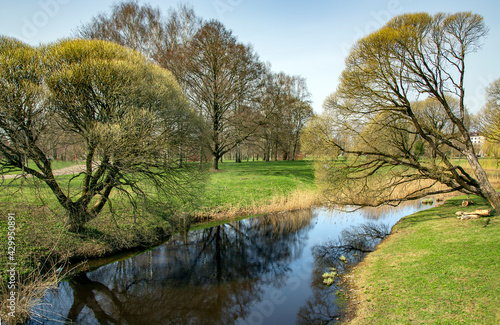 Sunny spring landscape with small pond surrounded by trees reflecting in the water in Victory Park  Riga  Latvia.