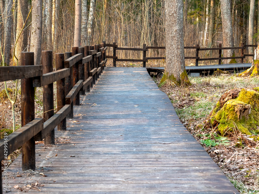 A beautiful brown bridge with a fence which is in the forest in the evening. Nature and relaxation concept A beautiful brown bridge with a fence which is in the forest in the evening. Nature and relaxation concept