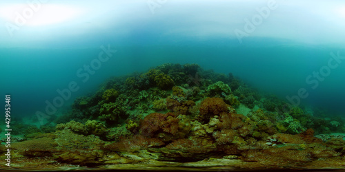 Tropical coral reef and fishes underwater. Tropical fishes and coral reef underwater. . Travel vacation concept. Philippines. Virtual Reality 360. © Alex Traveler